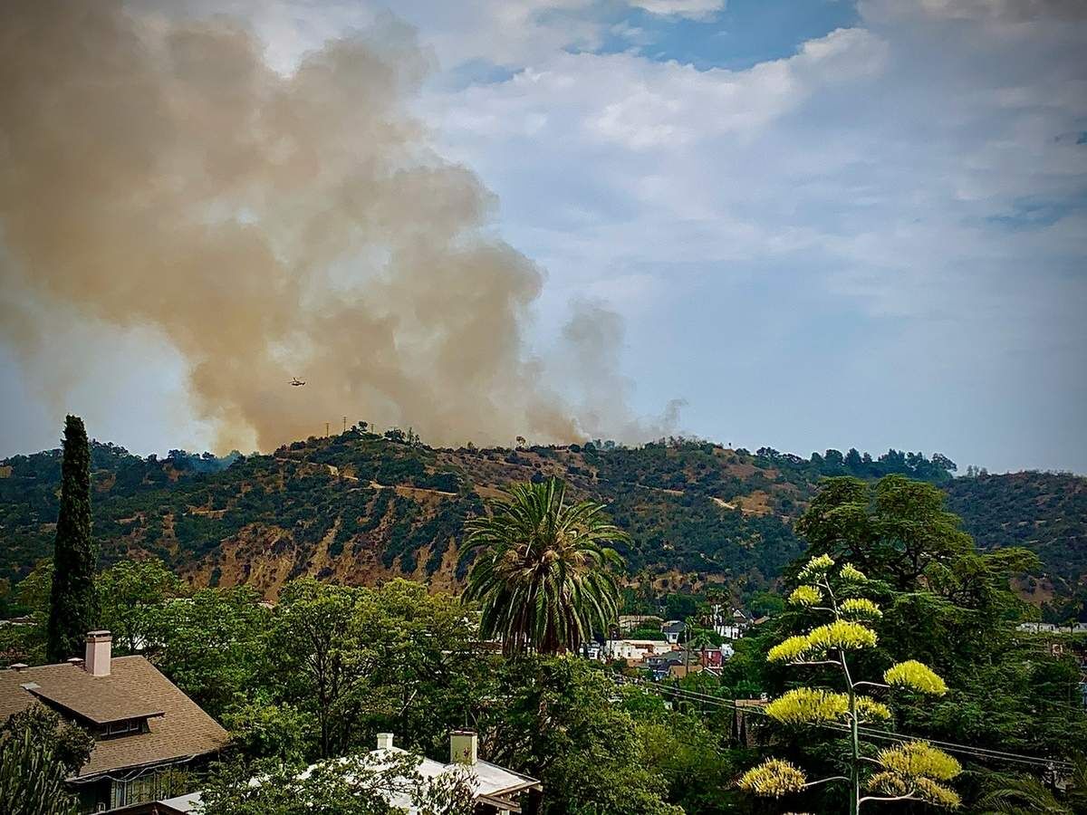Brush fire burning in Montecito Heights